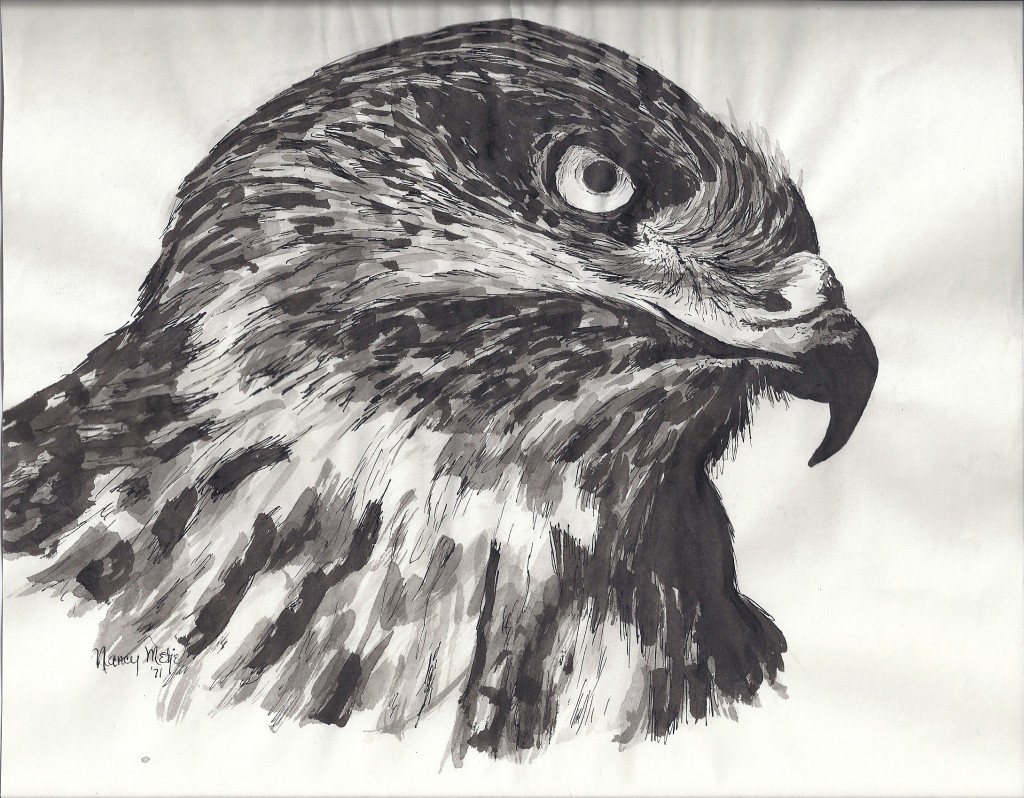 Eagle head 1971