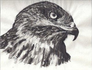 Eagle head
