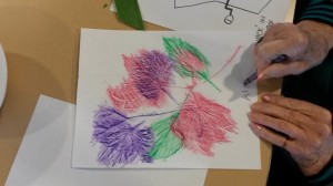 Alma's leaf rubbings