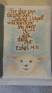 15-03-15 Ezekiel My Sheep2